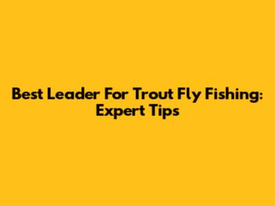 Best Leader For Trout Fly Fishing: Expert Tips