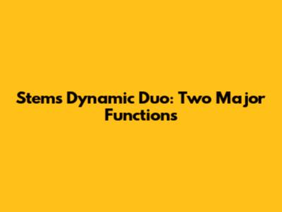 Stem's Dynamic Duo: Two Major Functions